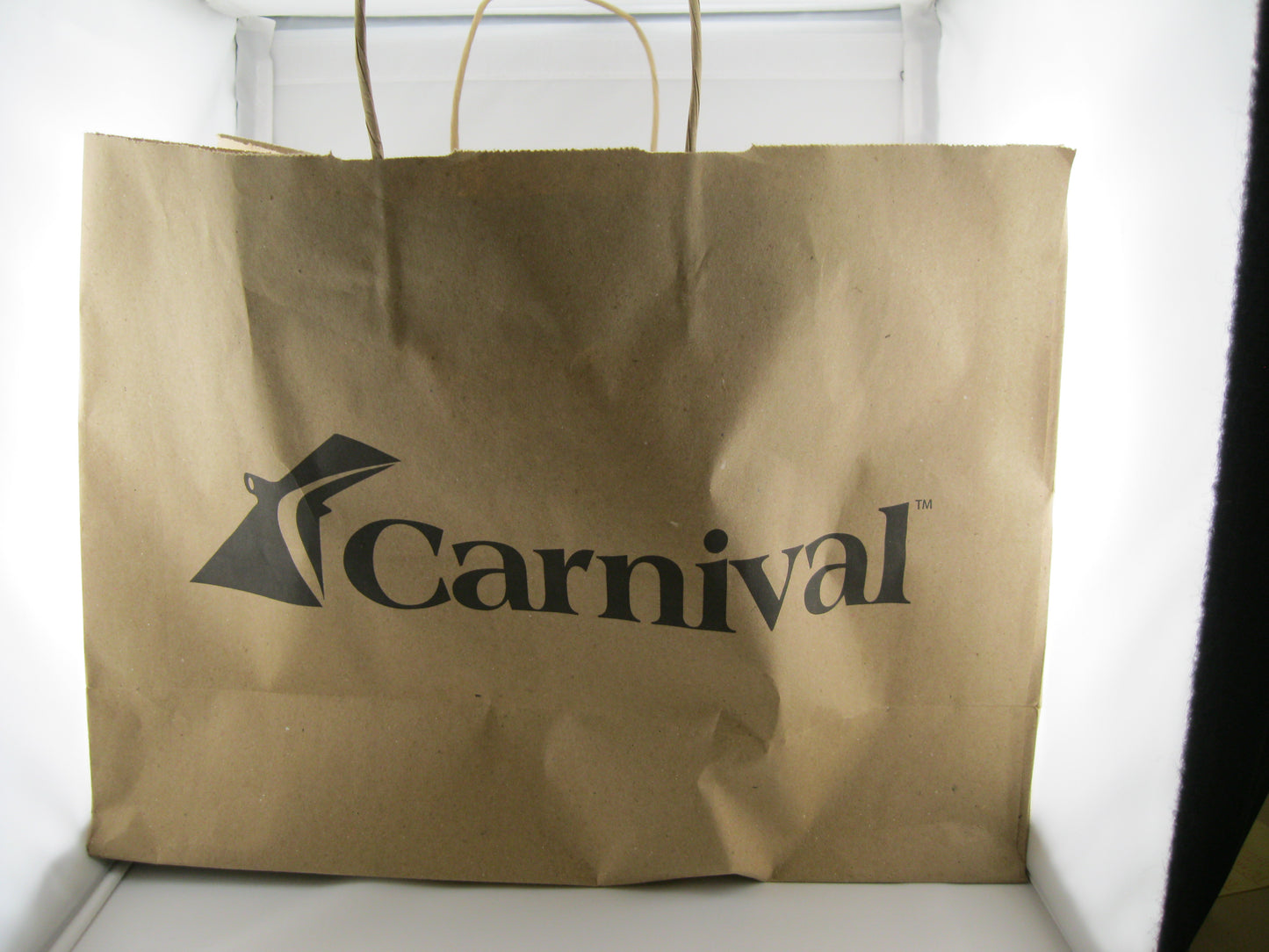 PAPER BAGS - Carnival Large Bags (250)