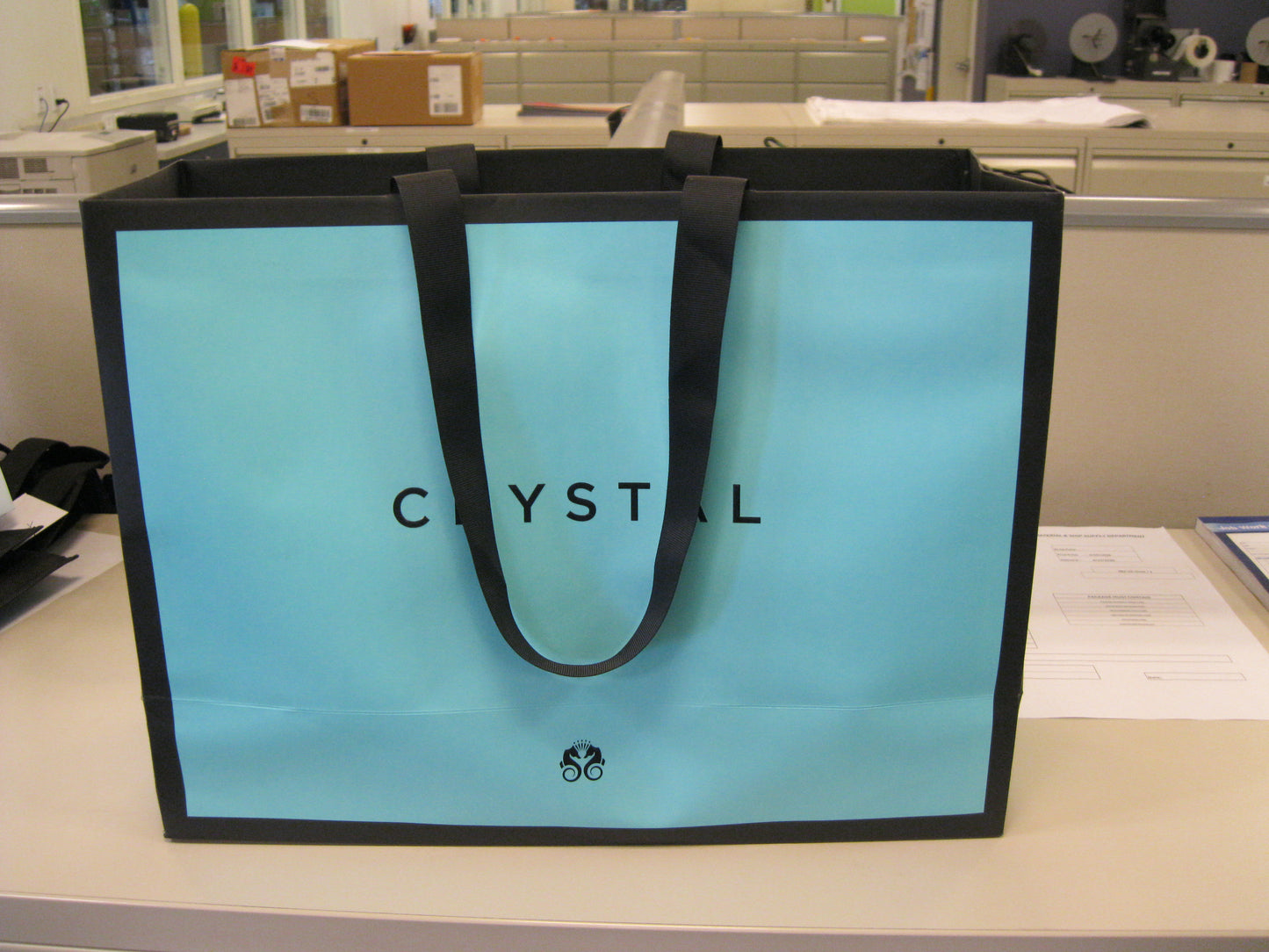 CRYSTAL BOUTIQUE BAG - LARGE - (50 Pcs)