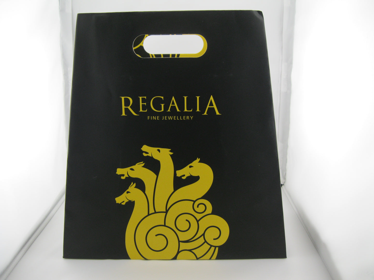 Regalia Bags Botique bags (100 Pcs per box )