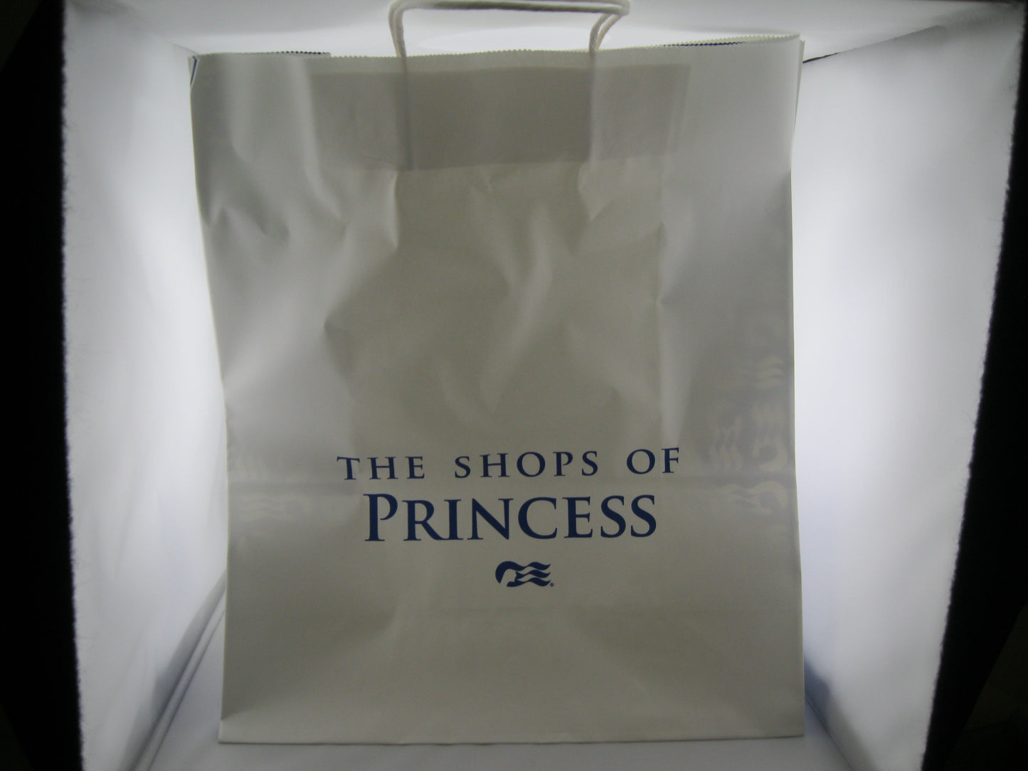 PAPER BAGS - Princess Large Bags (250)