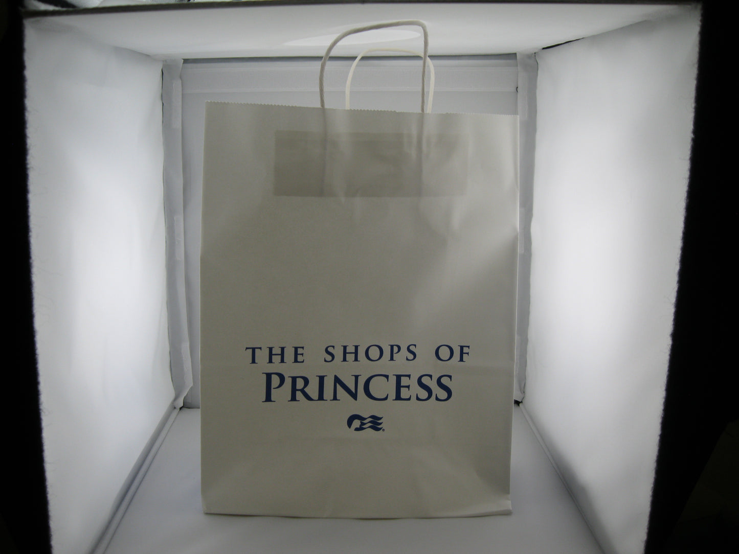 PAPER BAGS - Princess Meduim Bags (250)