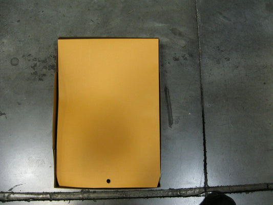 Envelope 10"x13" 100/bx